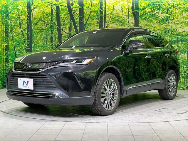 ハリアー(新潟県長岡市)