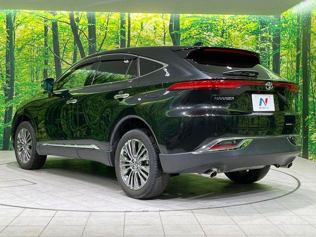 ハリアー(新潟県長岡市)