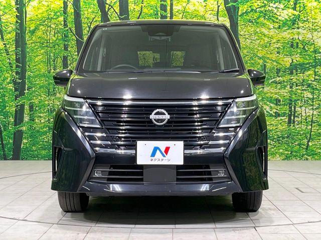 セレナ(新潟県長岡市)