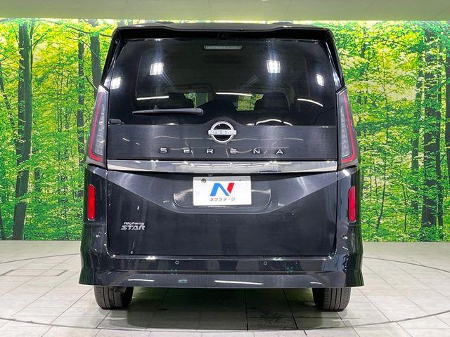 セレナ(新潟県長岡市)