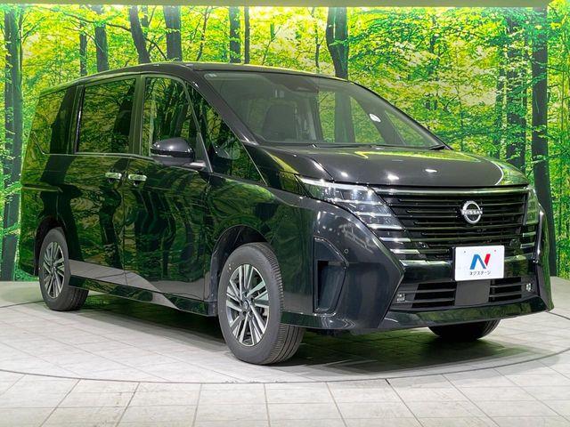 セレナ(新潟県長岡市)