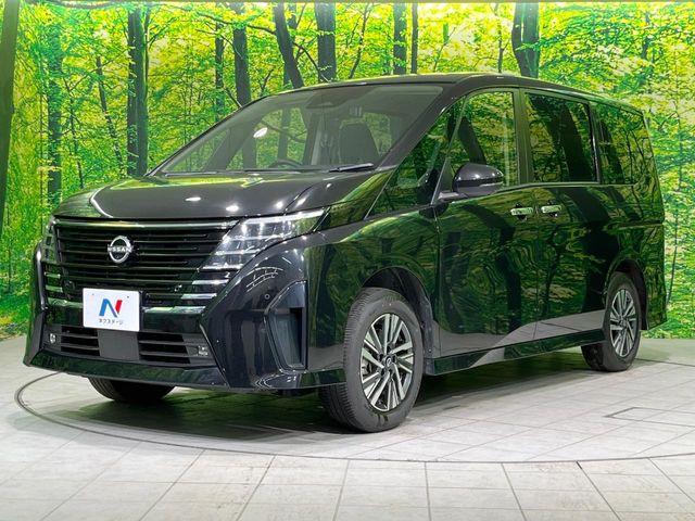 セレナ(新潟県長岡市)