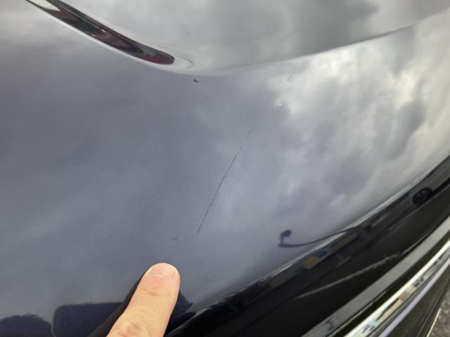 ヴォクシー（新潟県新潟市西蒲区）画像18