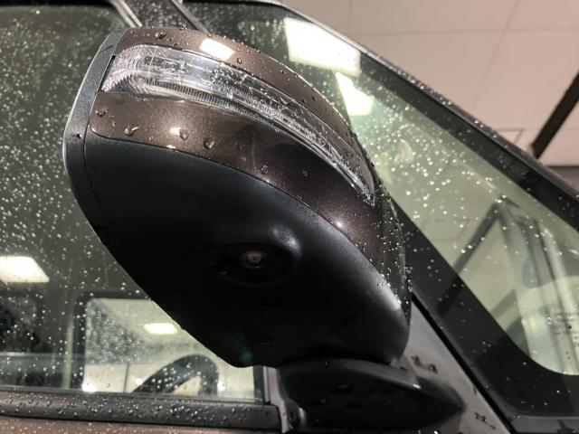 デイズルークス（新潟県新潟市西蒲区）画像25