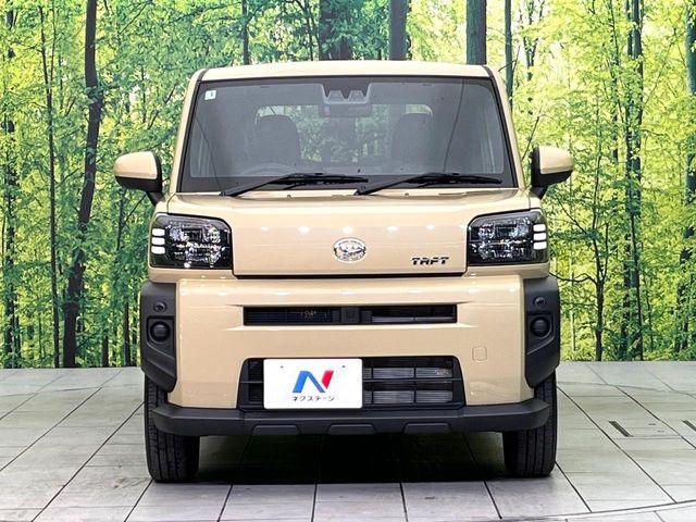 タフト（新潟県新潟市東区）画像14