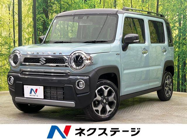 ハスラー（新潟県新潟市南区）