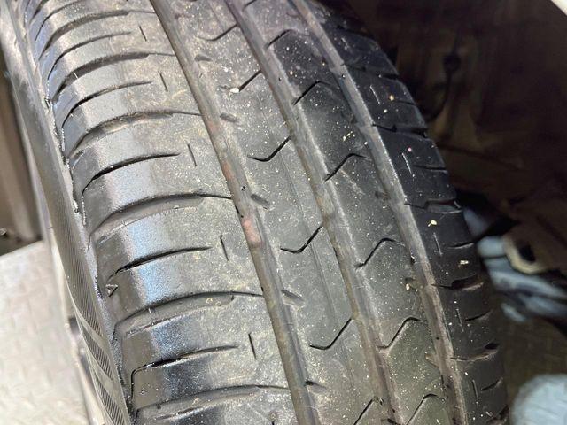 スペイド（新潟県新潟市南区）