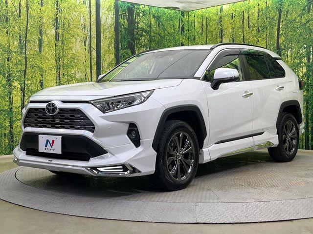 ＲＡＶ４（新潟県新潟市南区）画像22