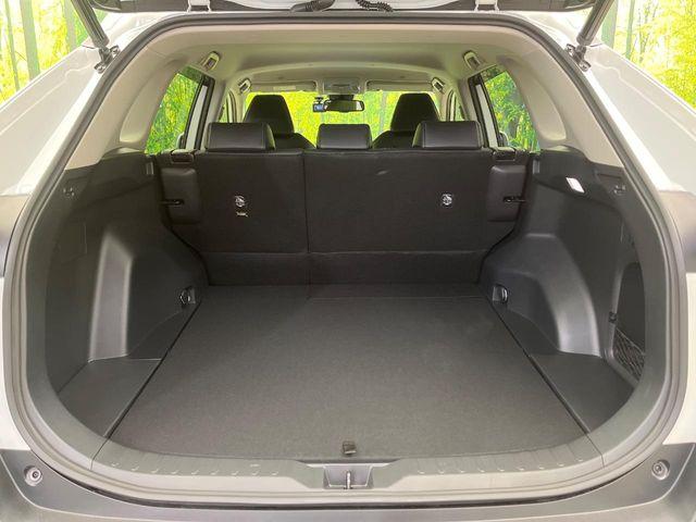 ＲＡＶ４（新潟県新潟市南区）画像35