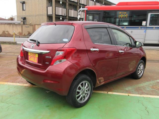 ヴィッツ（新潟県新潟市東区）