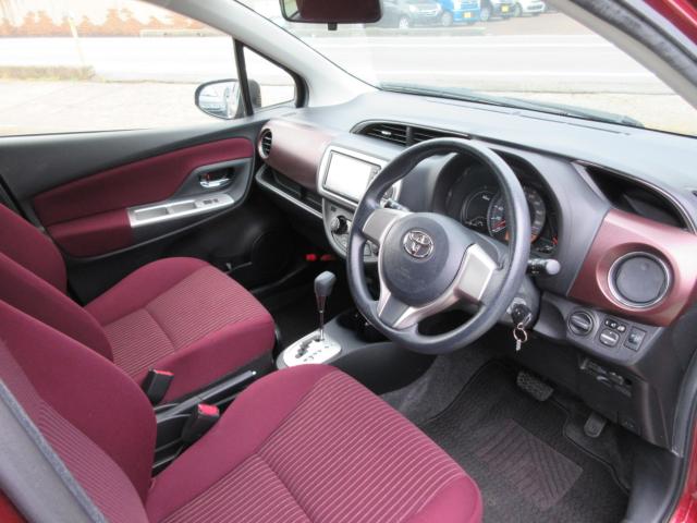 ヴィッツ（新潟県新潟市東区）