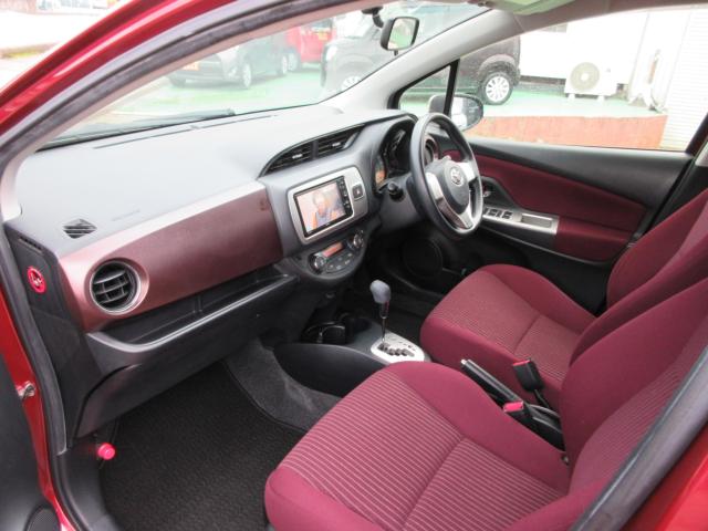 ヴィッツ（新潟県新潟市東区）