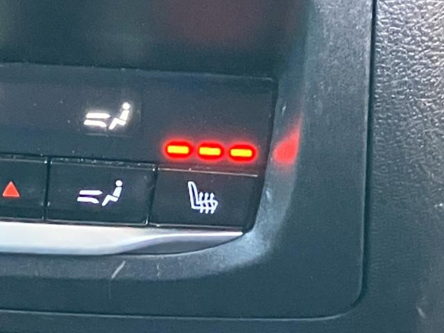 ＢＭＷ Ｘ３（新潟県新潟市東区）画像35