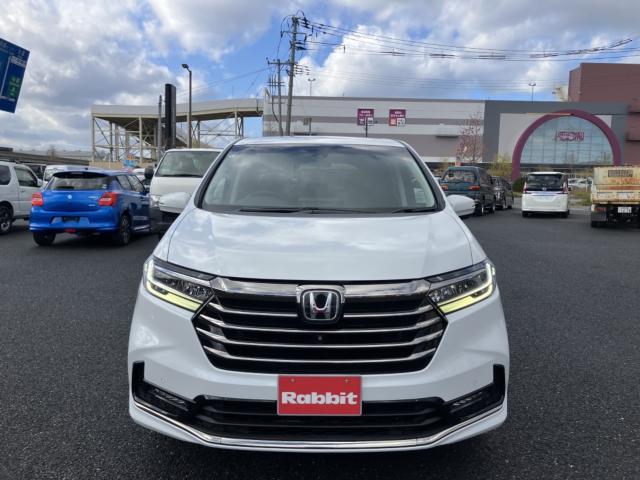 オデッセイ(新潟県新潟市西区)