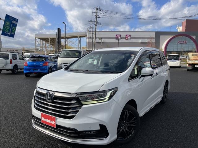 オデッセイ（新潟県新潟市西区）