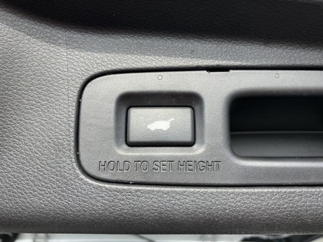 オデッセイ(新潟県新潟市西区)