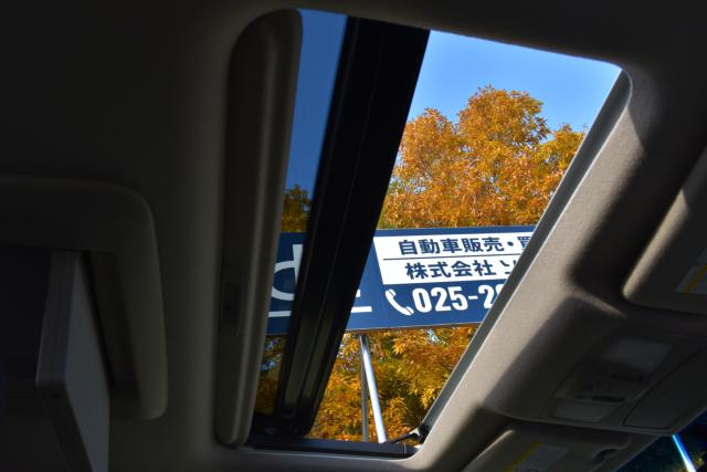 エルグランド（新潟県新潟市西区）画像8