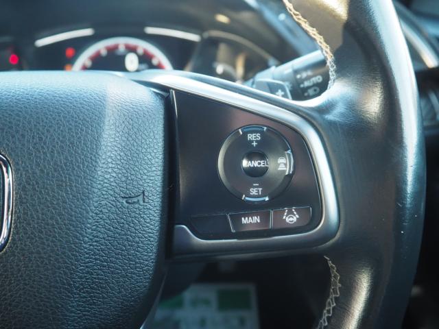 シビック（新潟県新潟市西区）