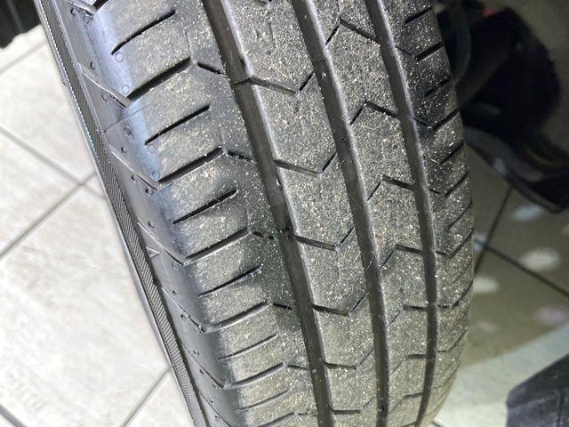 タフト（新潟県新潟市東区）画像50