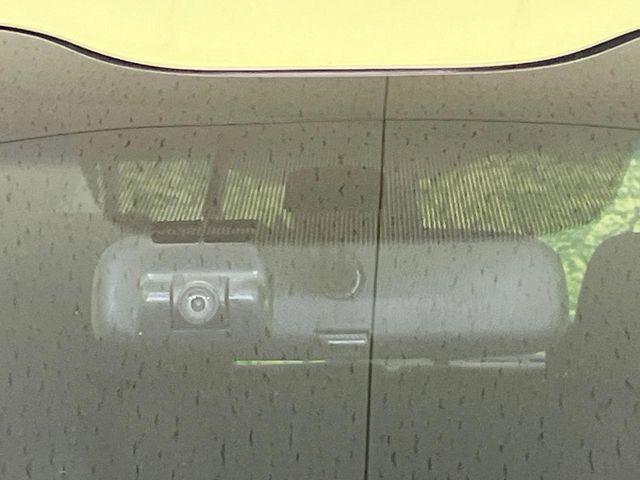 フリード（新潟県長岡市）