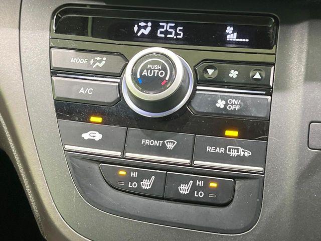 フリード（新潟県長岡市）