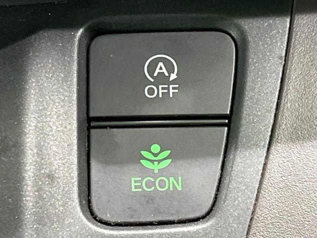 フリード（新潟県長岡市）