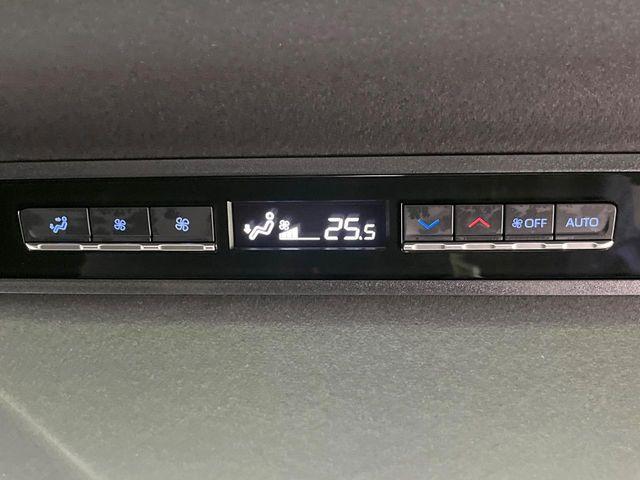 ヴォクシー(新潟県長岡市)