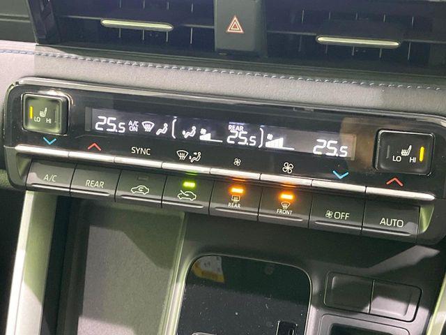 ヴォクシー(新潟県長岡市)