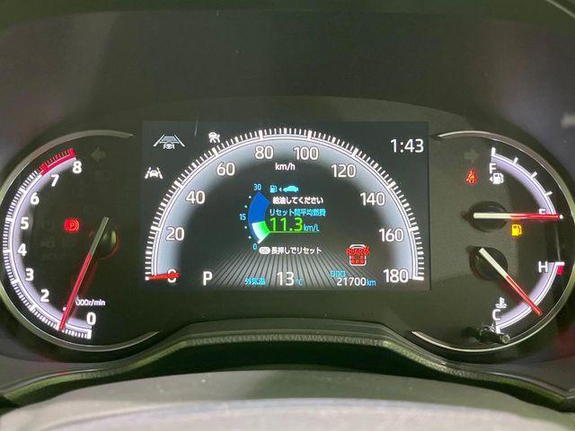 ヴォクシー(新潟県長岡市)