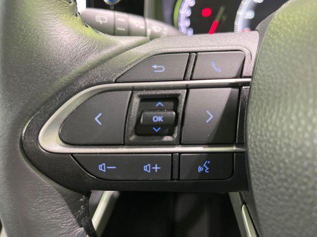 ヴォクシー(新潟県長岡市)