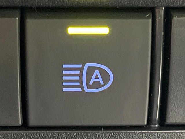 ヴォクシー(新潟県長岡市)