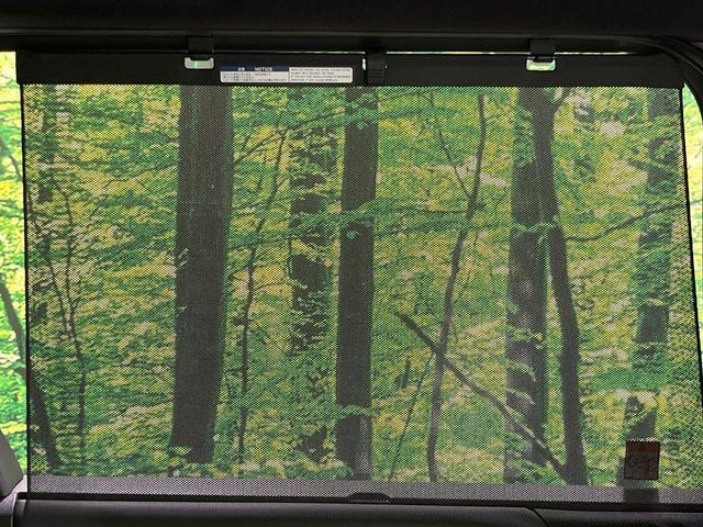 ヴォクシー(新潟県長岡市)