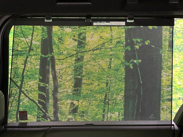 ヴォクシー(新潟県長岡市)