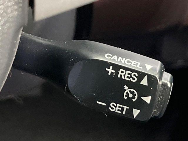 ルーミー（新潟県新潟市南区）