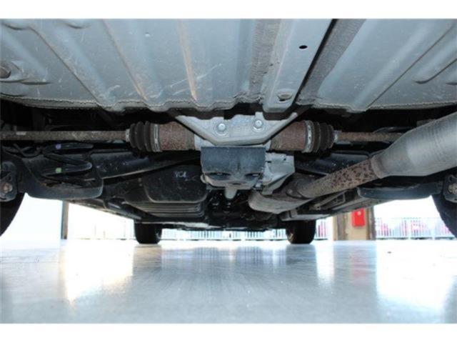 ノア(新潟県新潟市東区)