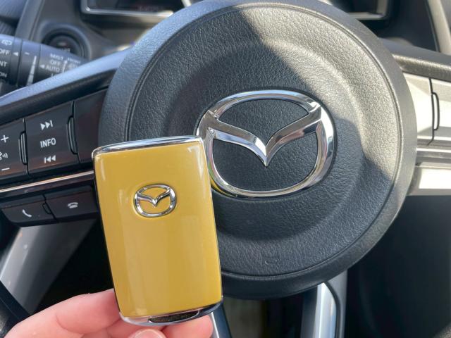 MAZDA2(新潟県新潟市南区)