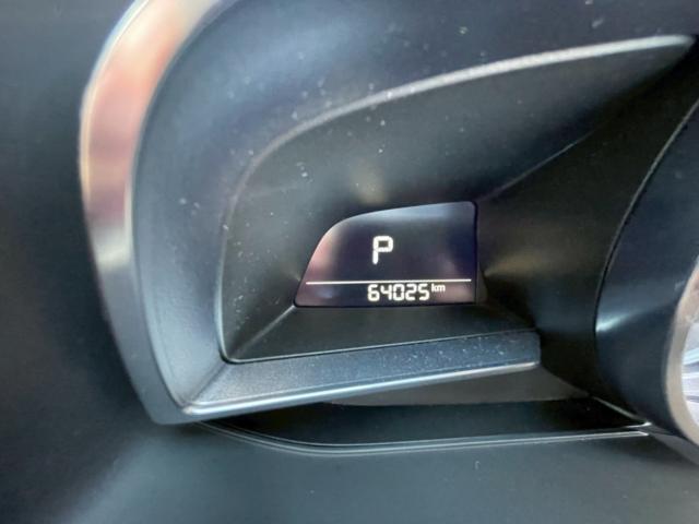 MAZDA2(新潟県新潟市南区)