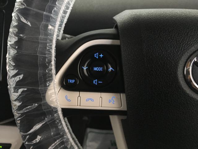 プリウス(新潟県新潟市西区)