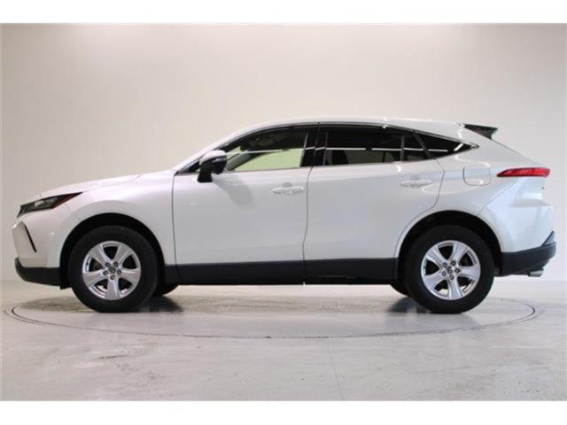 ハリアー(新潟県新潟市東区)