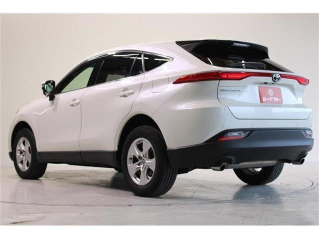 ハリアー(新潟県新潟市東区)