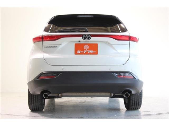 ハリアー(新潟県新潟市東区)