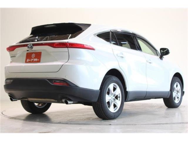 ハリアー(新潟県新潟市東区)