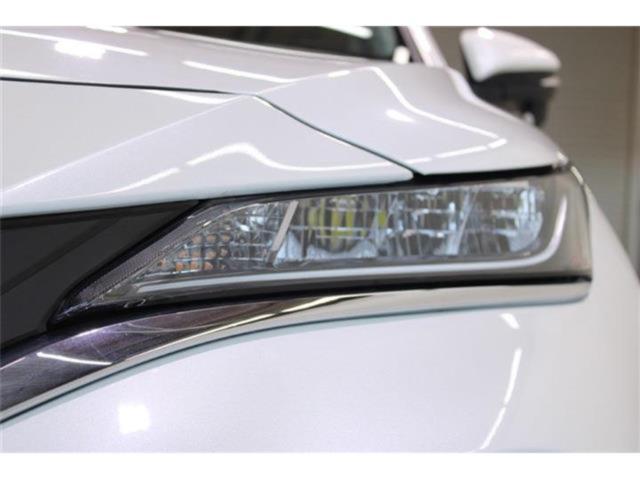 ハリアー(新潟県新潟市東区)