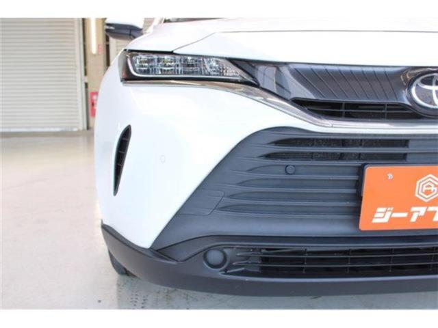 ハリアー(新潟県新潟市東区)