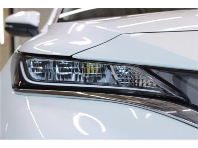 ハリアー(新潟県新潟市東区)