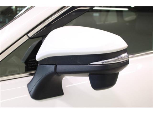 ハリアー(新潟県新潟市東区)