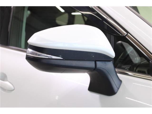 ハリアー(新潟県新潟市東区)