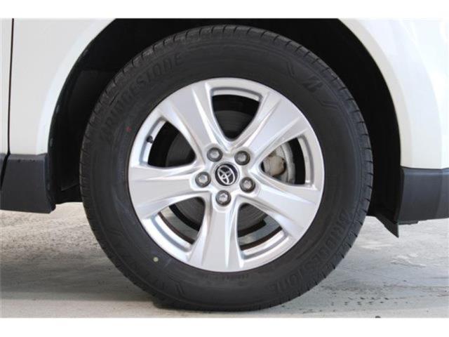 ハリアー(新潟県新潟市東区)