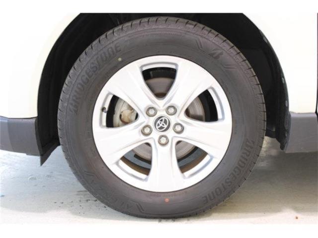 ハリアー(新潟県新潟市東区)