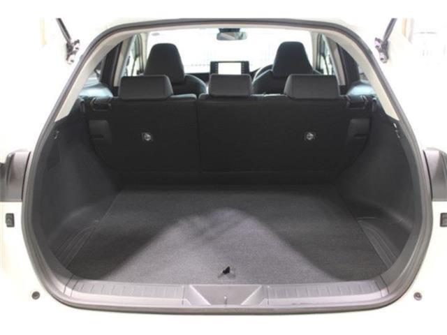 ハリアー(新潟県新潟市東区)